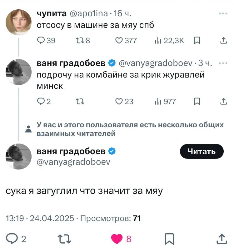 Untitled meme