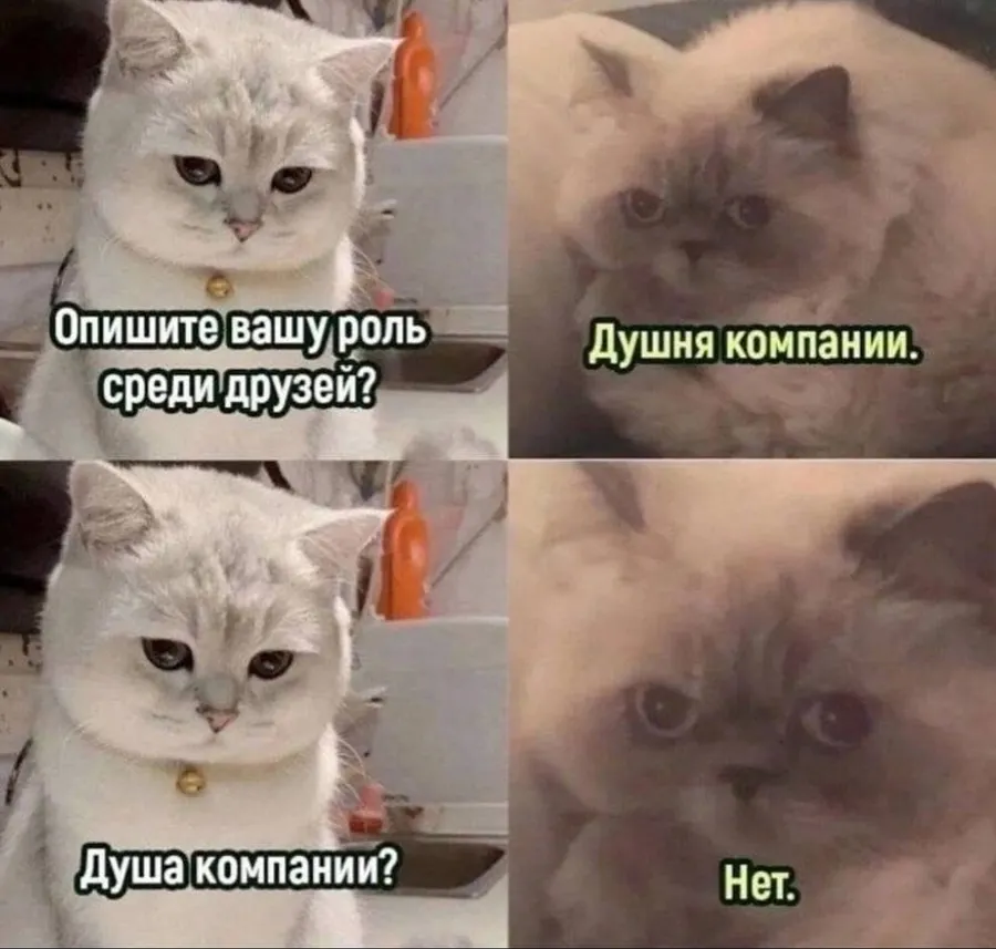 Untitled meme