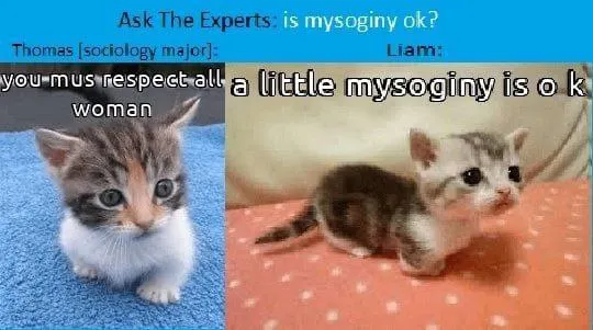Untitled meme