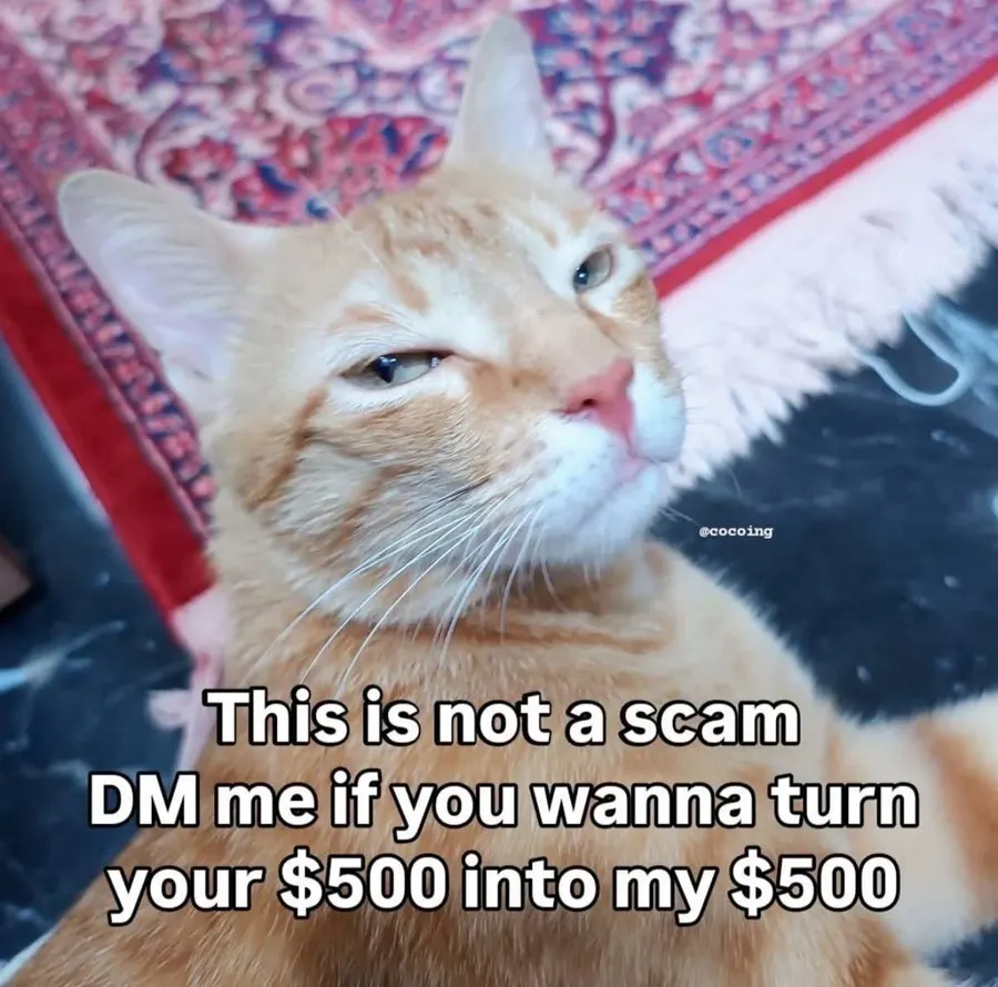 Untitled meme