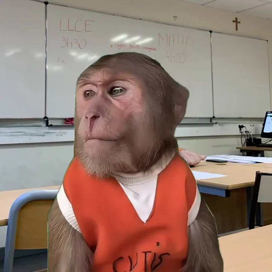 Untitled meme