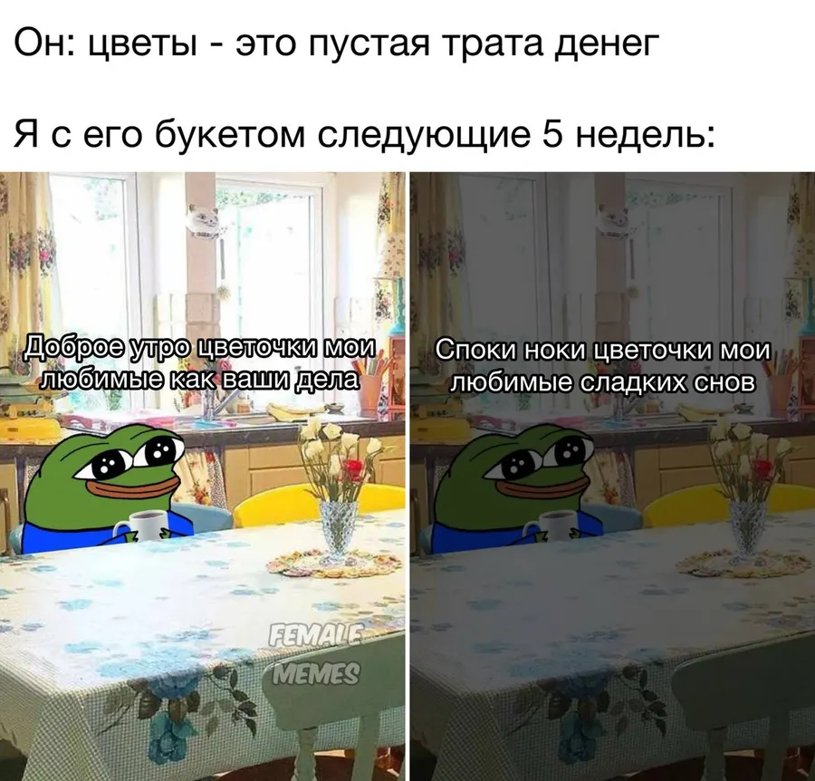 Untitled meme