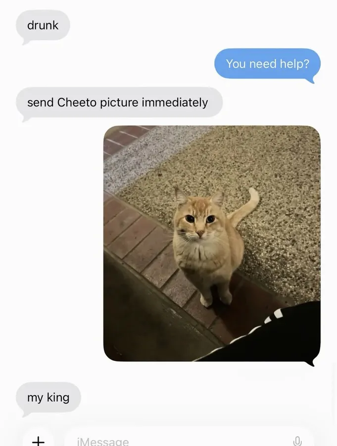 Untitled meme