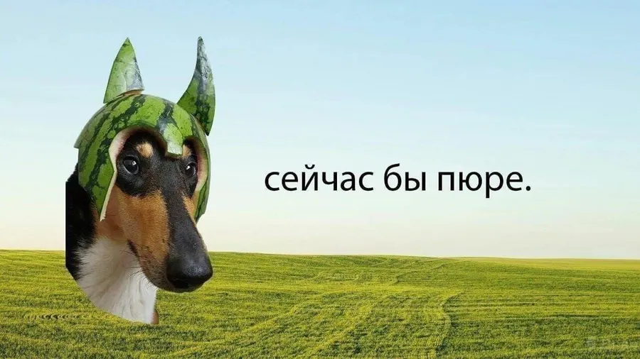 Untitled meme