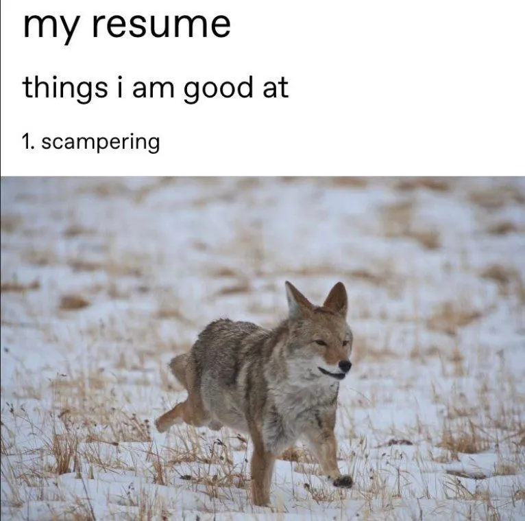 Untitled meme