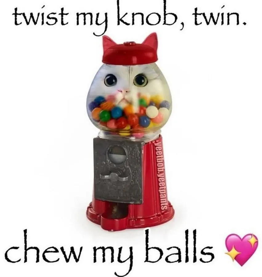 Untitled meme