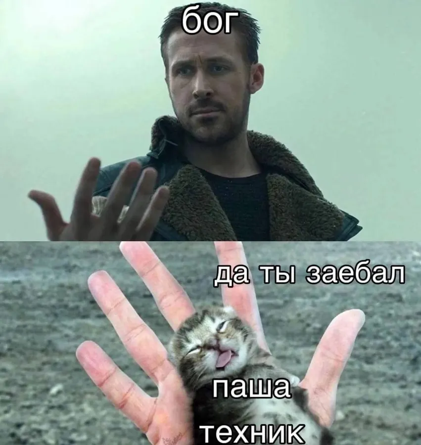 Untitled meme