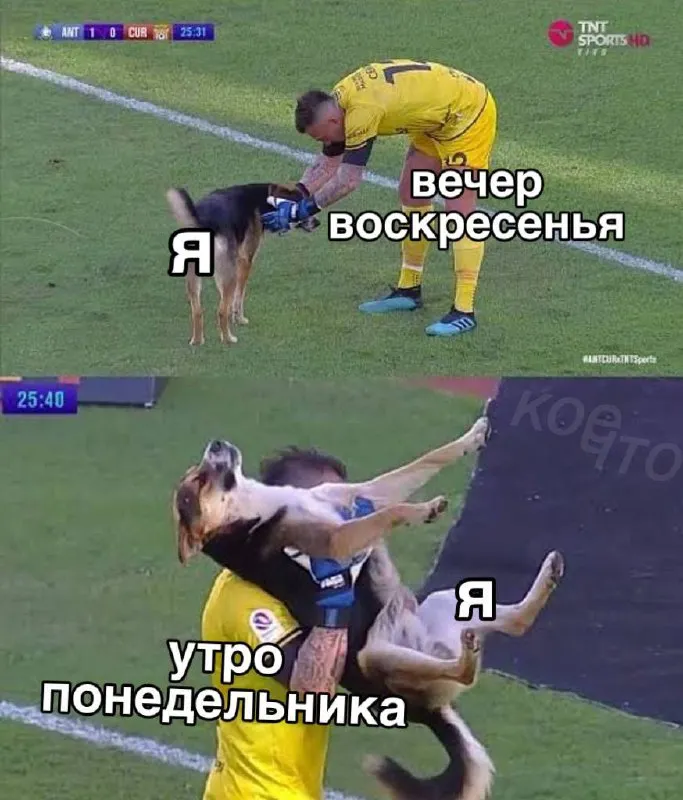 Untitled meme