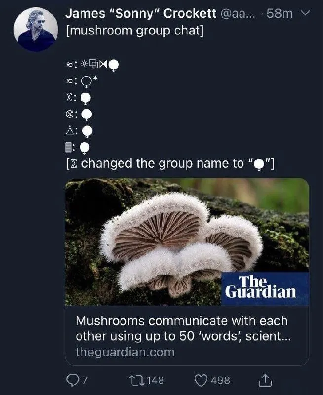Untitled meme