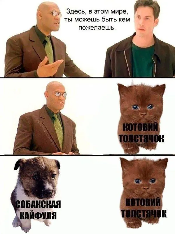 Untitled meme