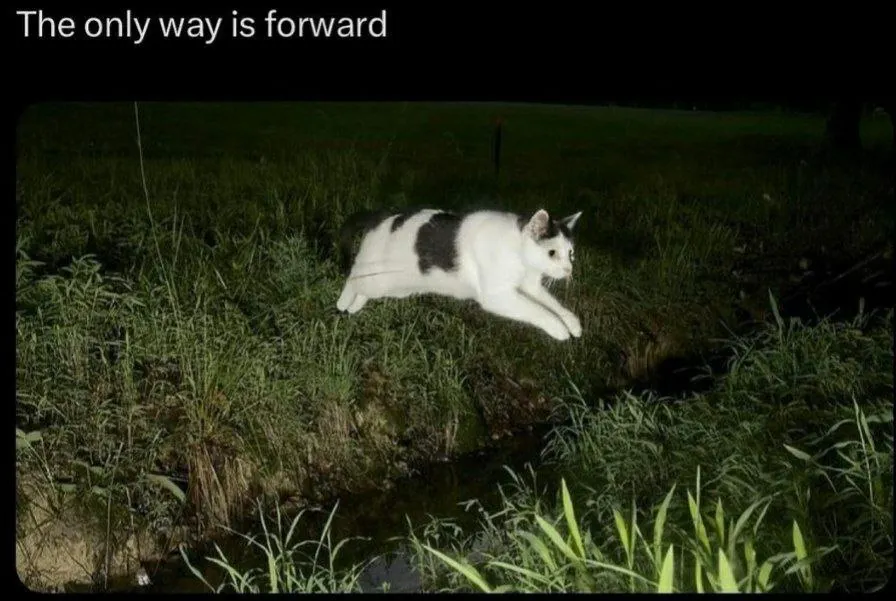 Untitled meme