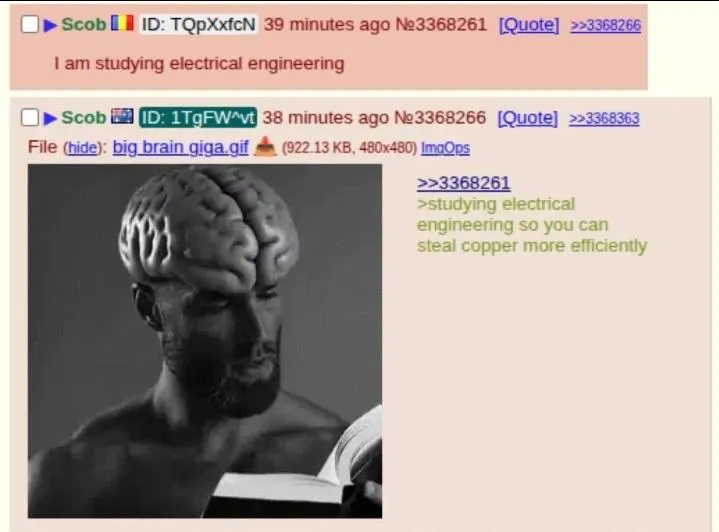 Untitled meme
