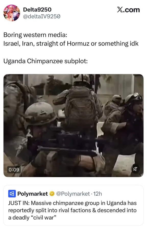 Untitled meme