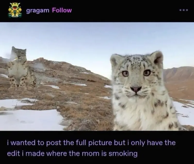 Untitled meme