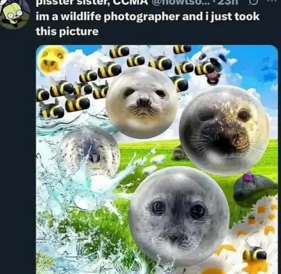 Untitled meme