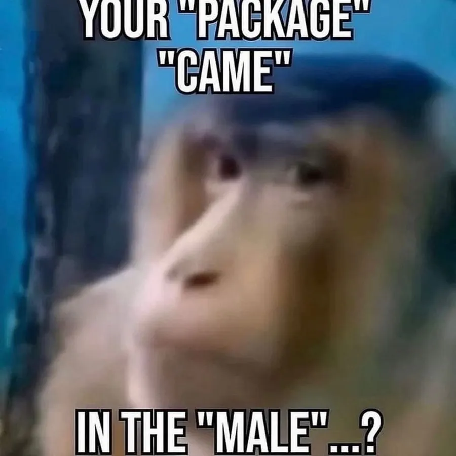 Untitled meme