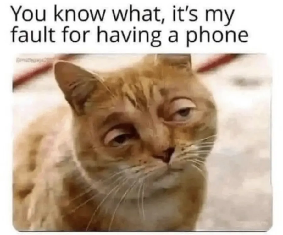 Untitled meme