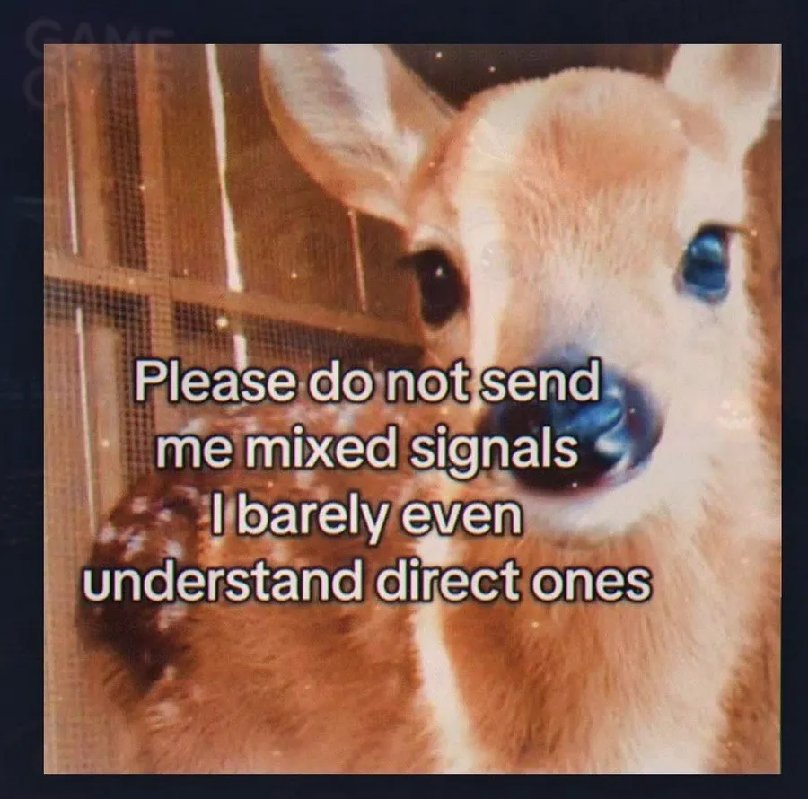 Untitled meme