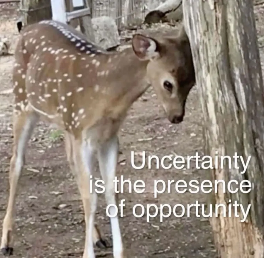 Untitled meme