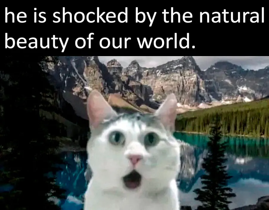 Untitled meme