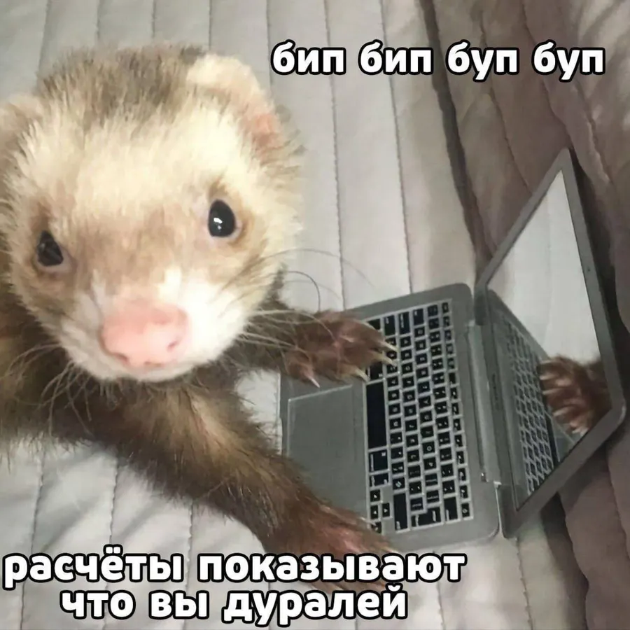 Untitled meme