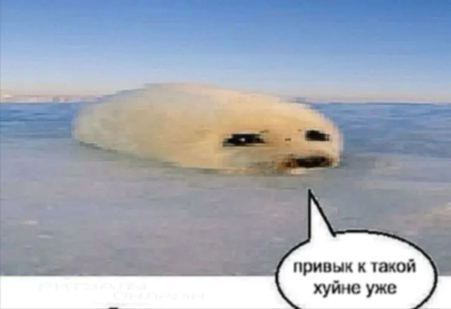 Untitled meme