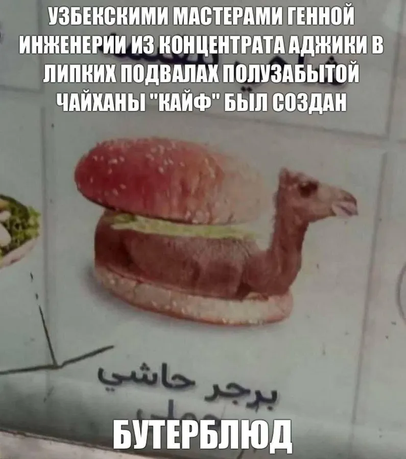 Untitled meme