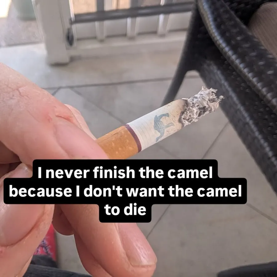 Untitled meme