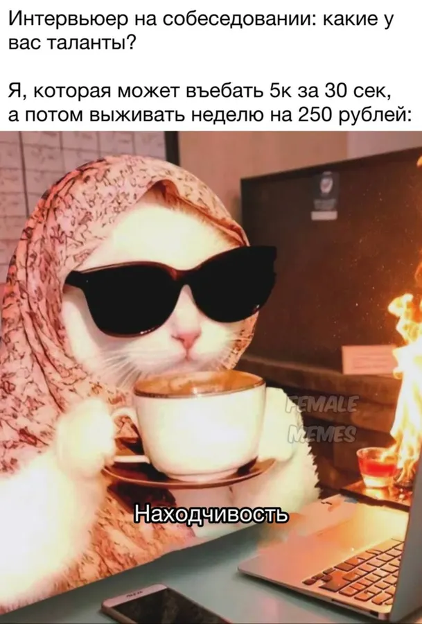 Untitled meme