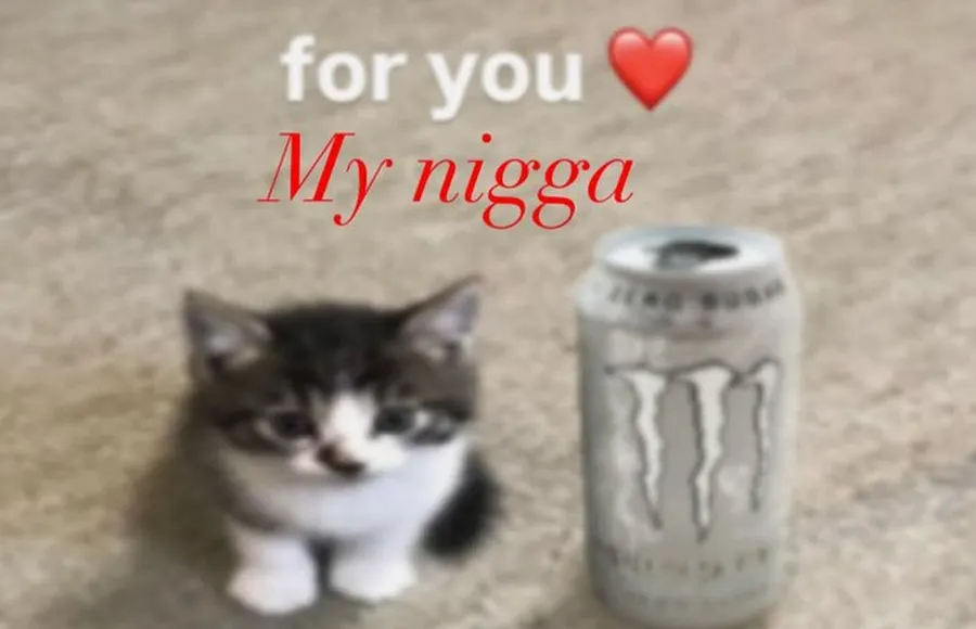 Untitled meme