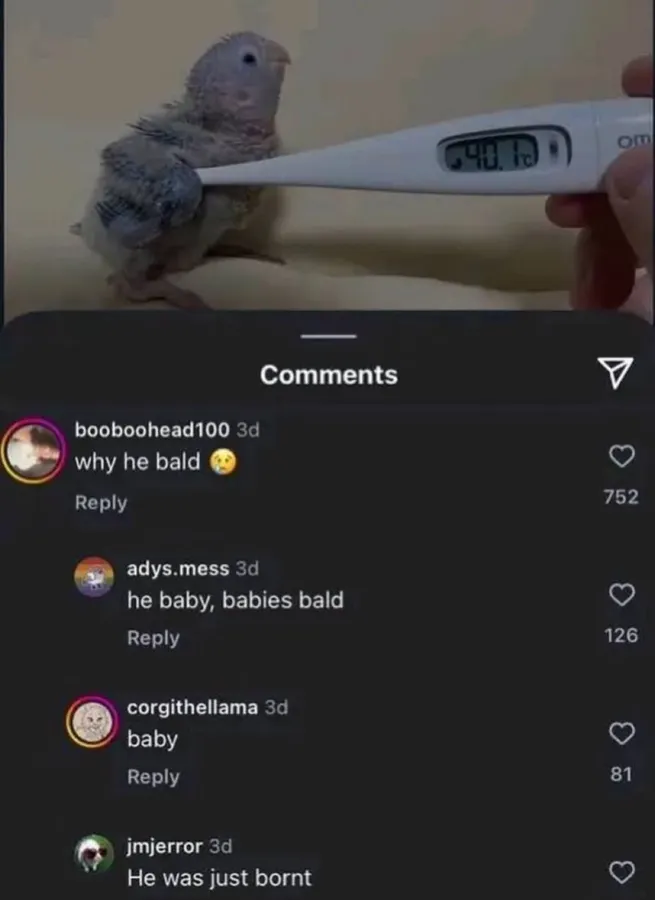 Untitled meme