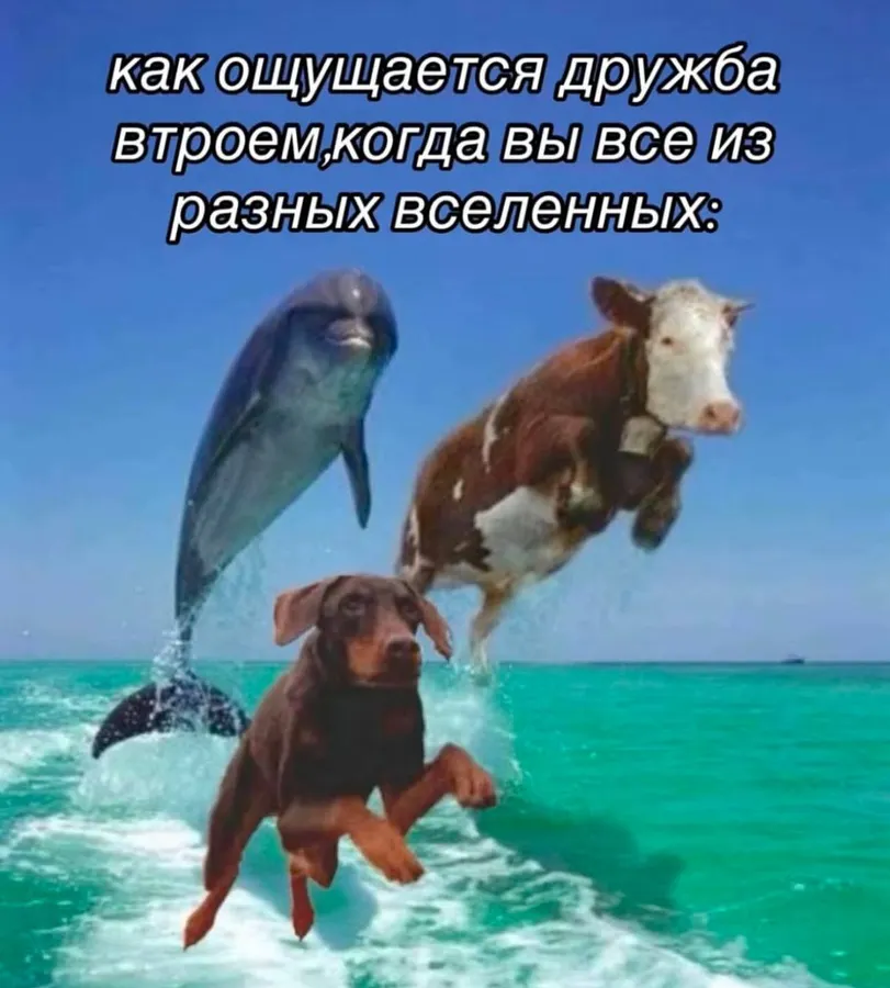 Untitled meme