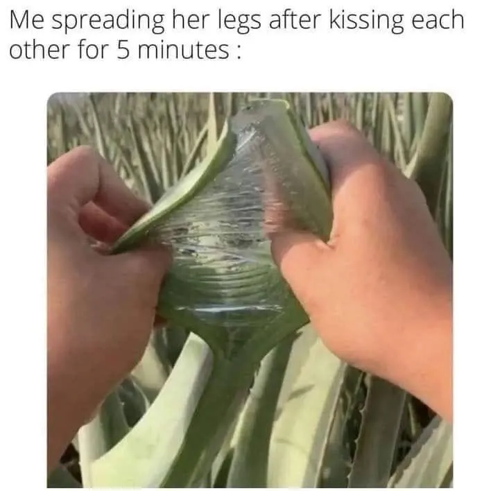 Untitled meme