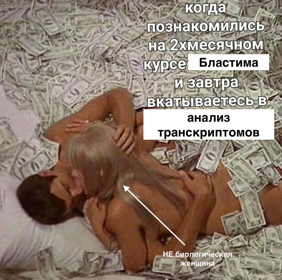 Untitled meme