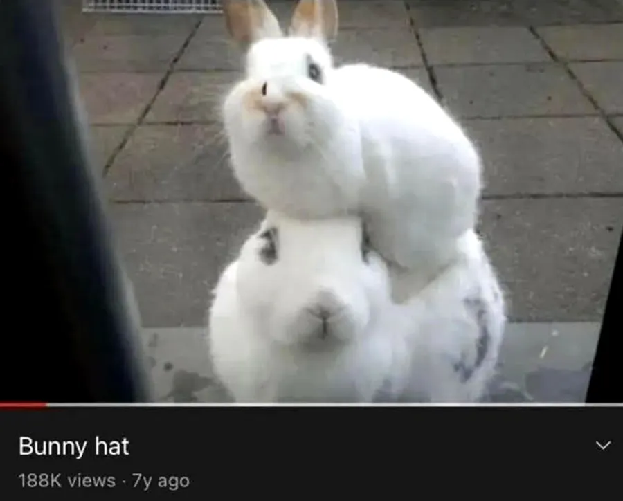 Untitled meme