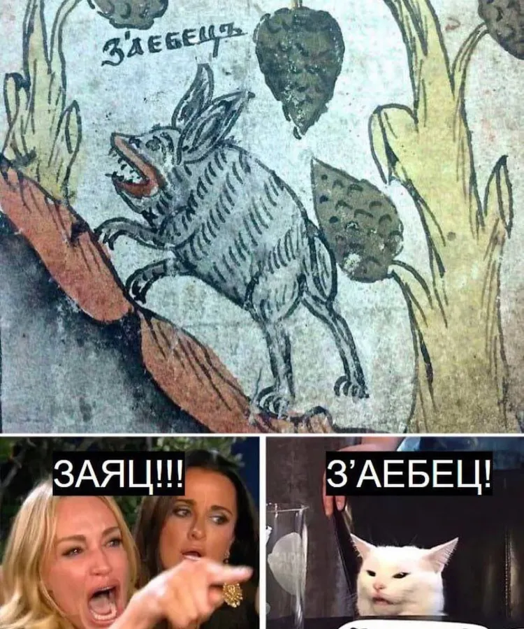 Untitled meme