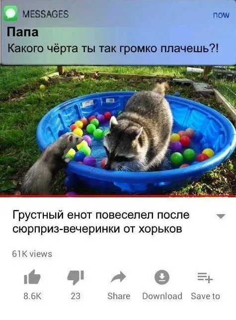 Untitled meme
