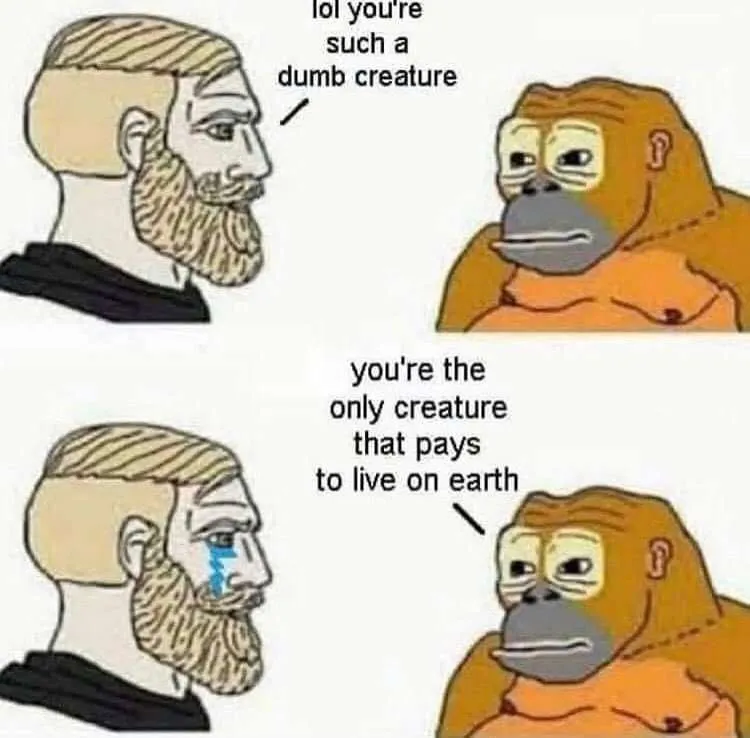 Untitled meme