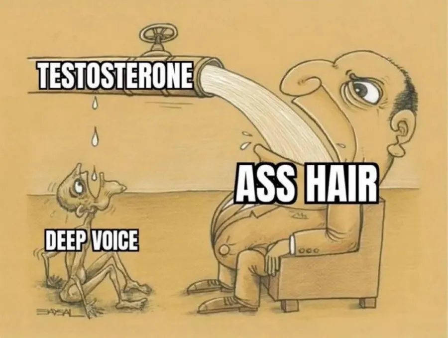Untitled meme