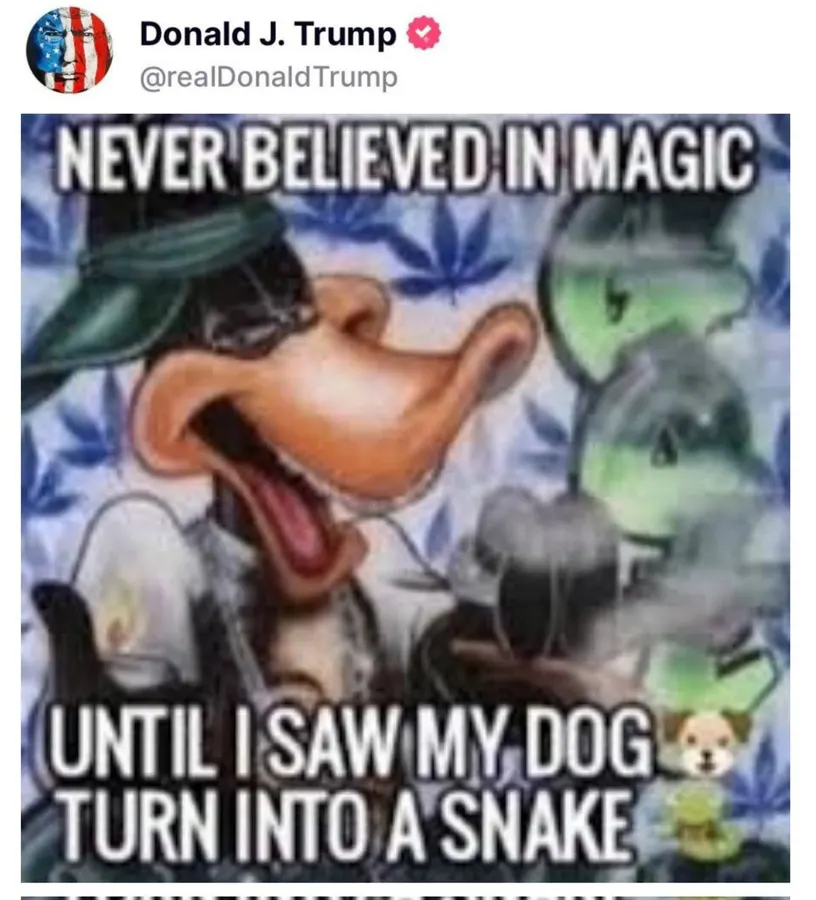 Untitled meme