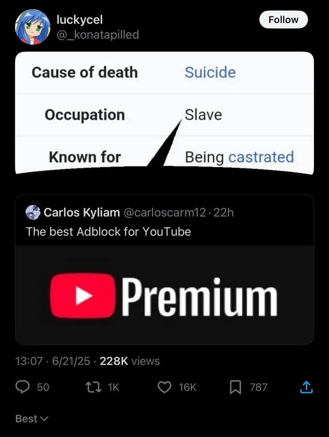 Untitled meme