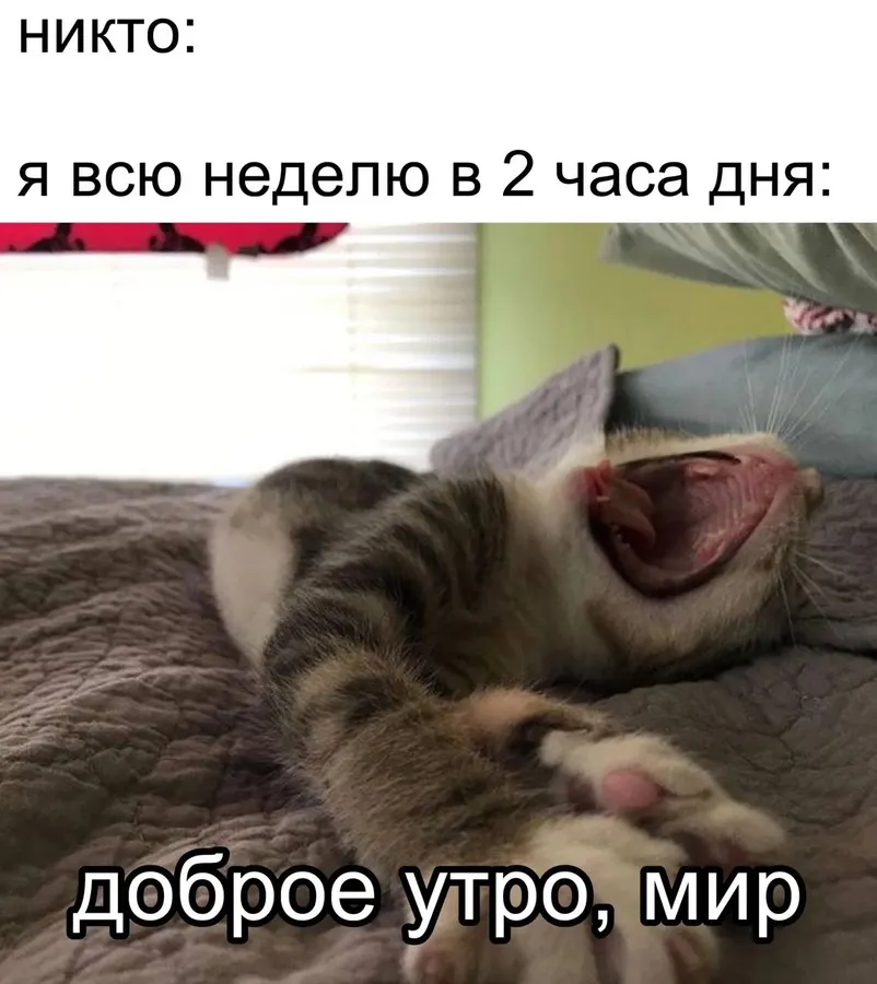 Untitled meme