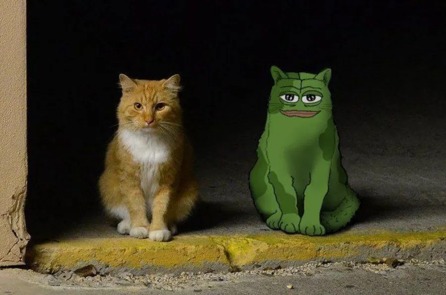 Untitled meme