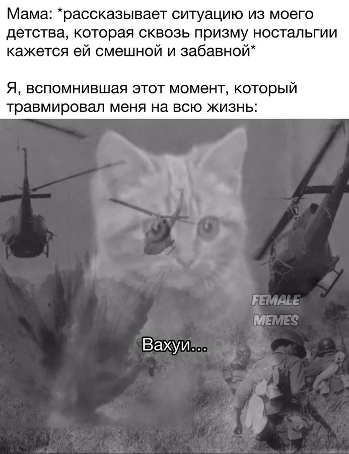 Untitled meme