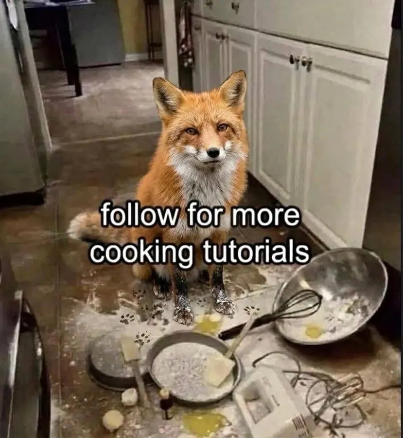 Untitled meme
