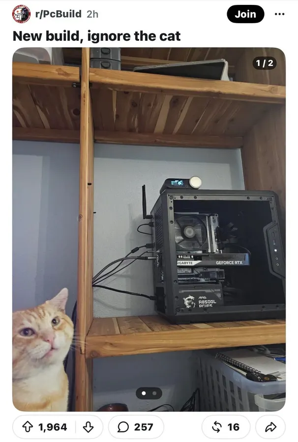 Untitled meme