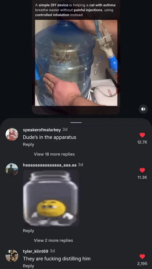 Untitled meme