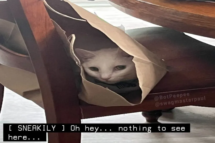 Untitled meme