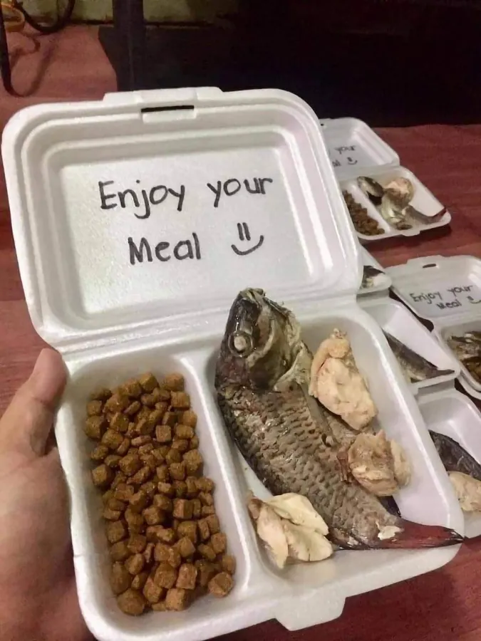 Untitled meme