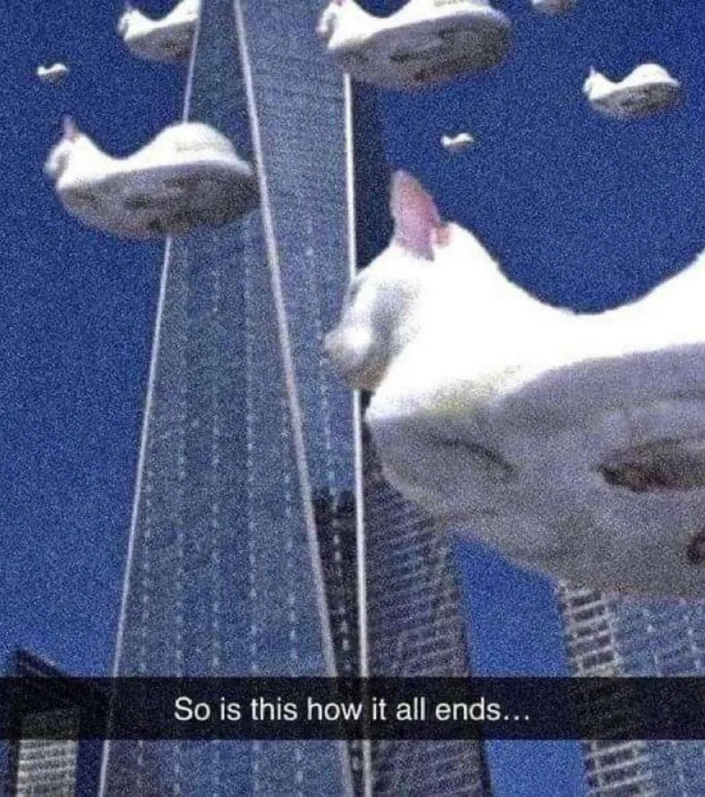 Untitled meme